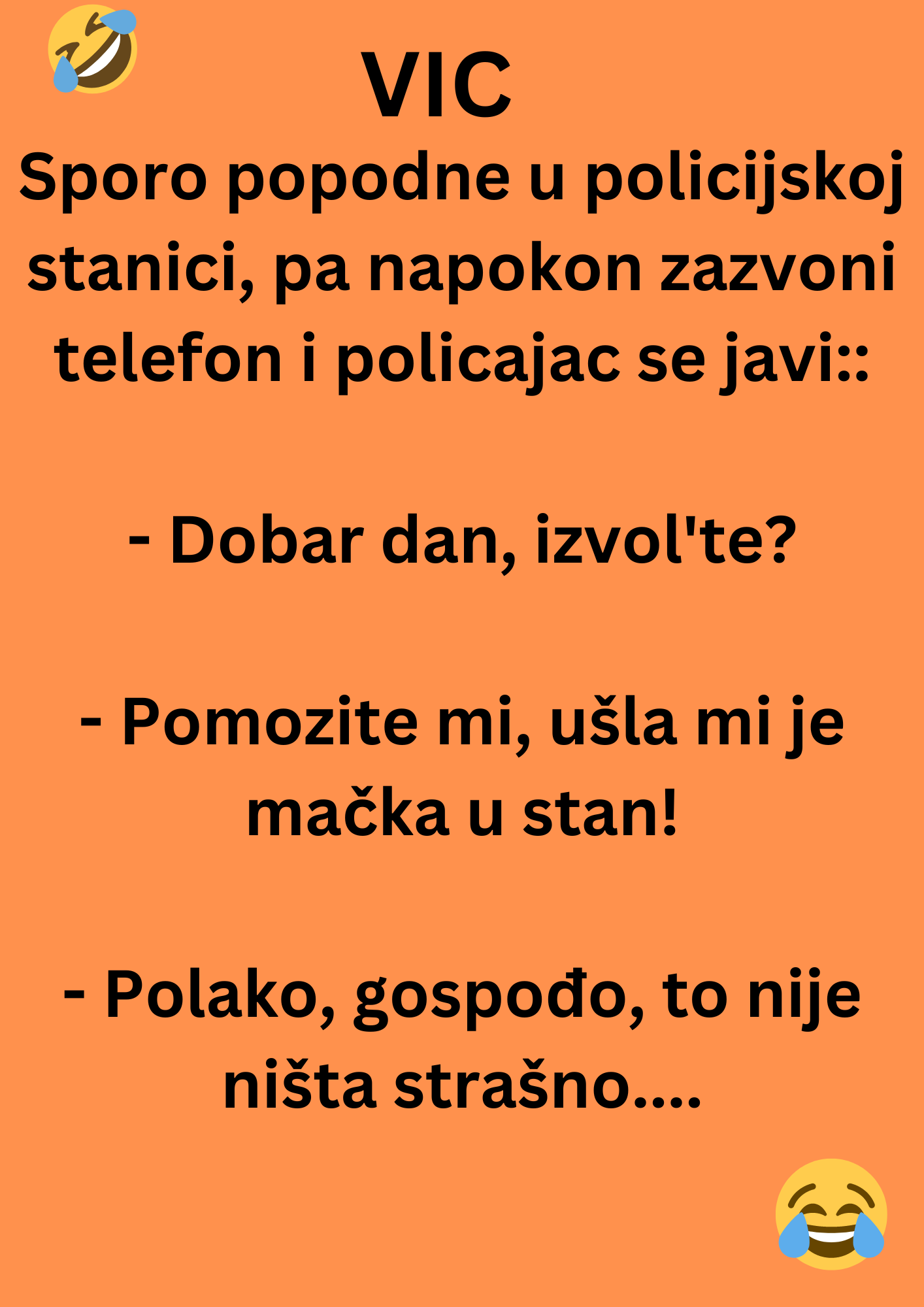 VIC: Svakodnevnica u policijskoj stanici