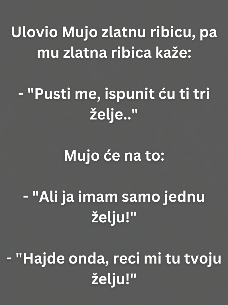 VIC: Mujo i zlatna ribica