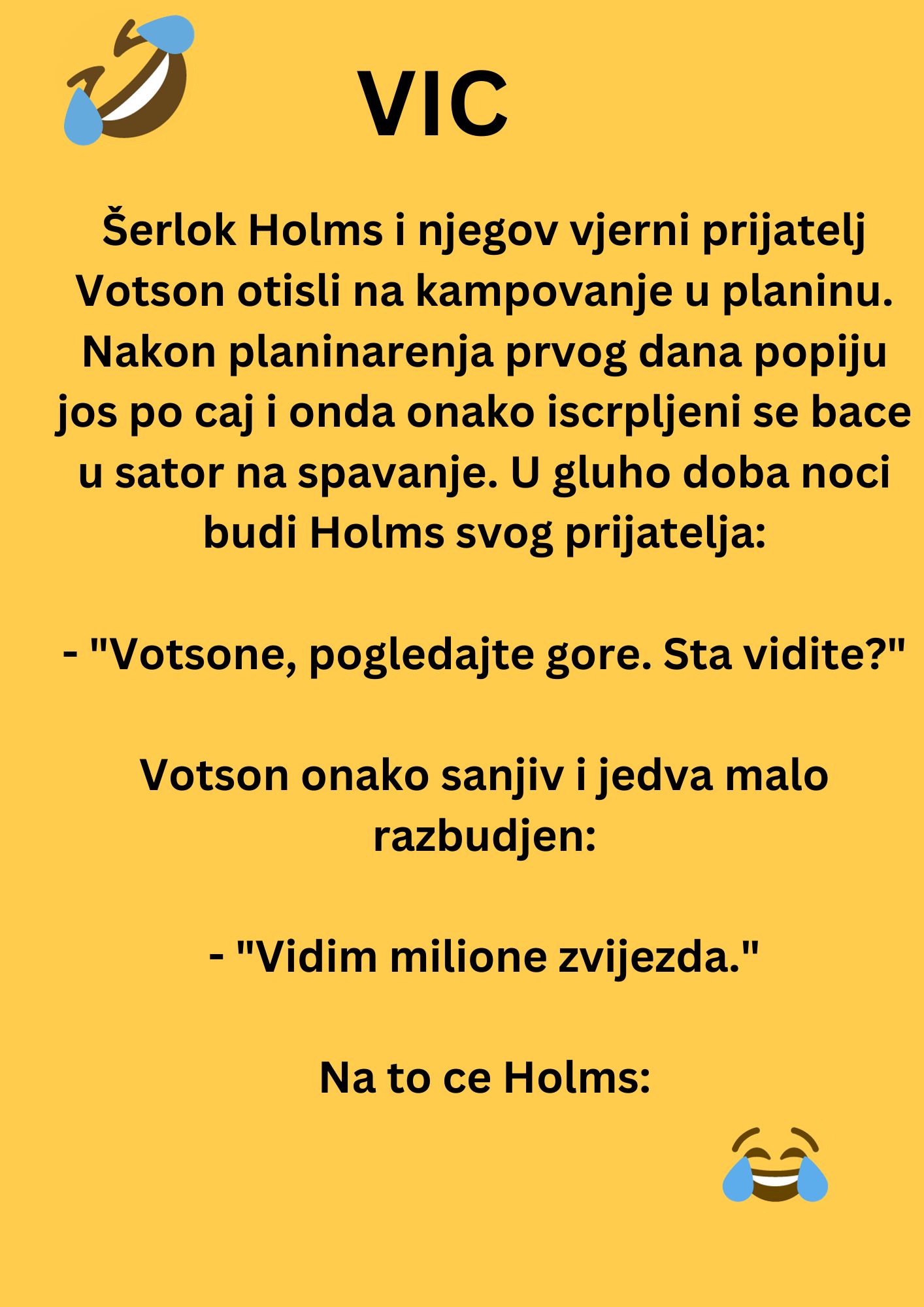 VIC: Šerlok Holms i Votson