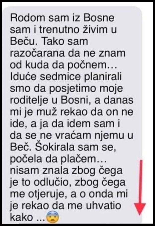 “Rodom sam iz Bosne i trenutno živim u Beču. Tako sam razočarana da ne znam od kuda da počnem…”