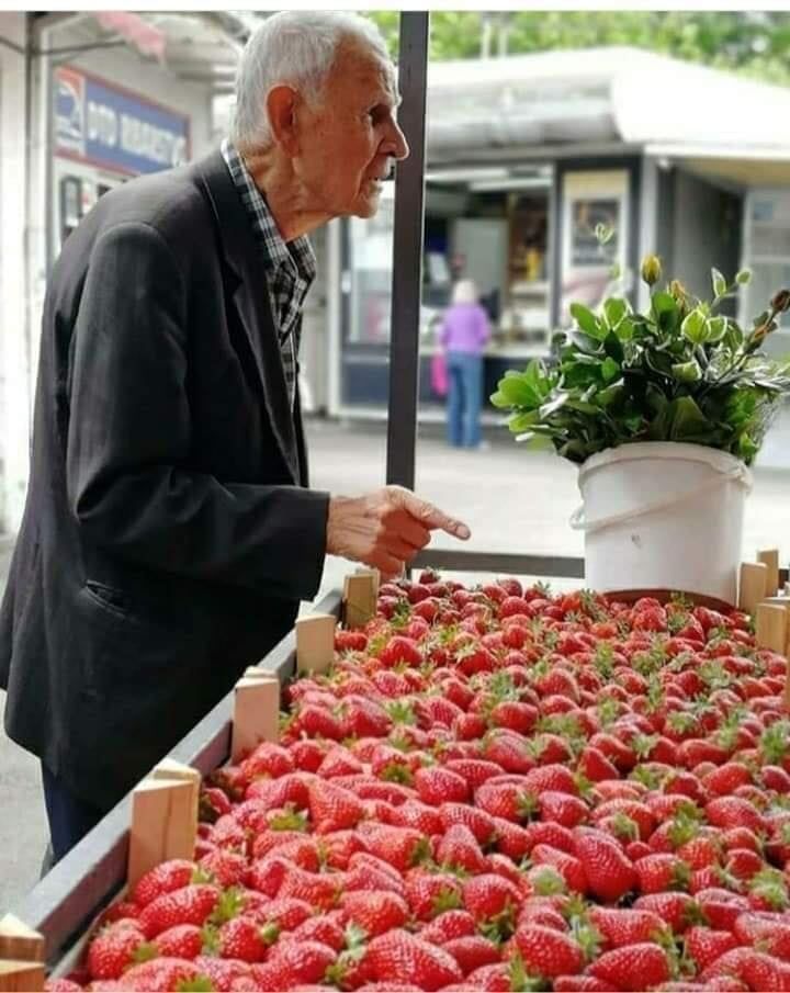 PRIČA: Starac i jagode | Balaševizam