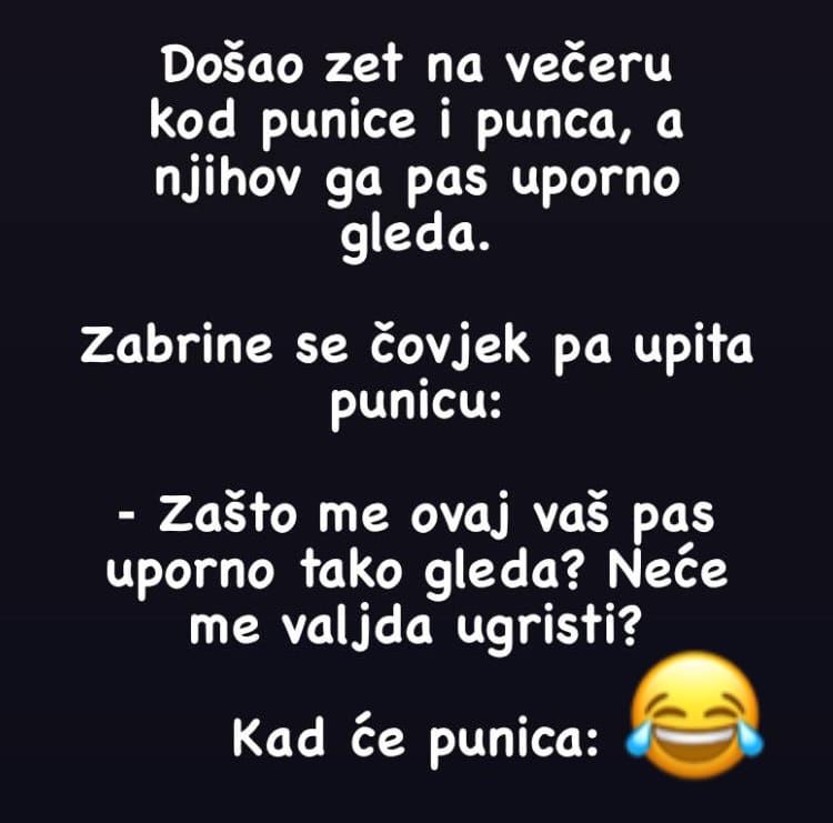 VIC: Došao zet na večeru kod punice i punca