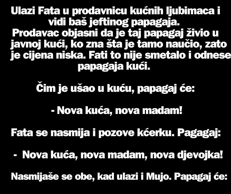 VIC DANA: Mujo i papagaj