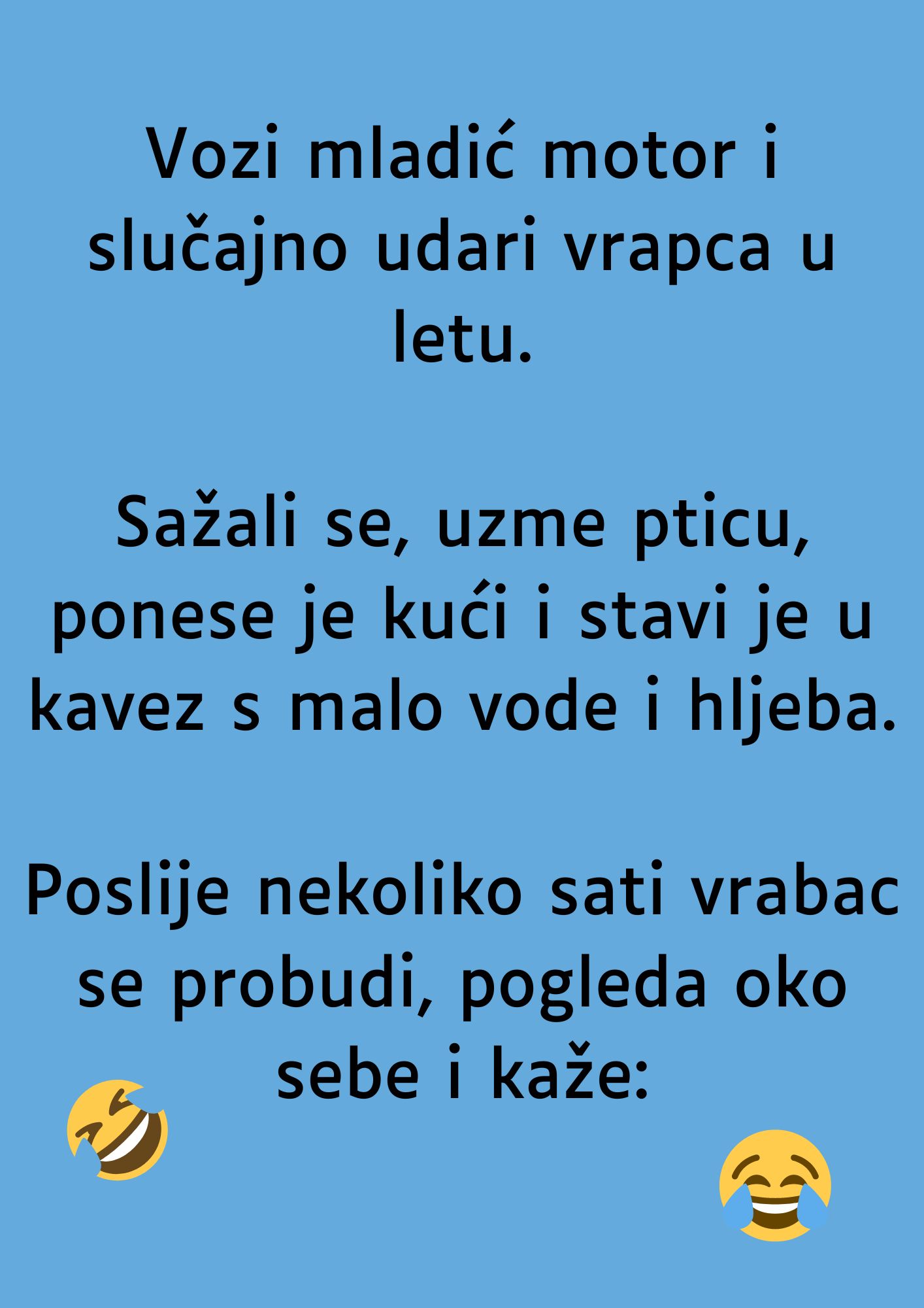 VIC: Mladić i vrabac