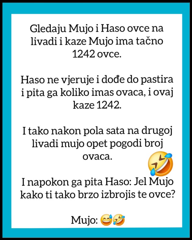 VIC OD KOJEG ĆETE PLAKATI OD SMIJEHA: Gledaju Mujo i Haso ovce…