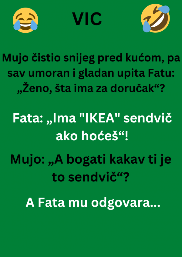 VIC DANA: Mujo čistio snijeg